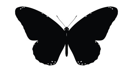Butterfly Silhouette Against A White Background Silhouette © NK