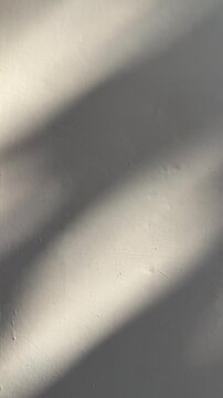 White wall white shadows and sun shine for background. backgrounds. sunlight. side view, front. copy space, empty, free, negative, text, design. half. black dark. bright. paint. presentation, mockup