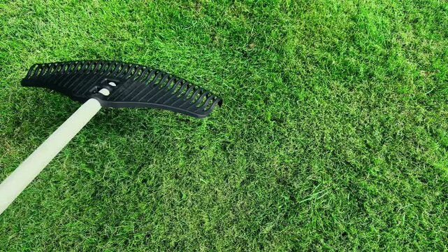 Black plastic rake handle resting on lush green grass lawn in bright daylight setting