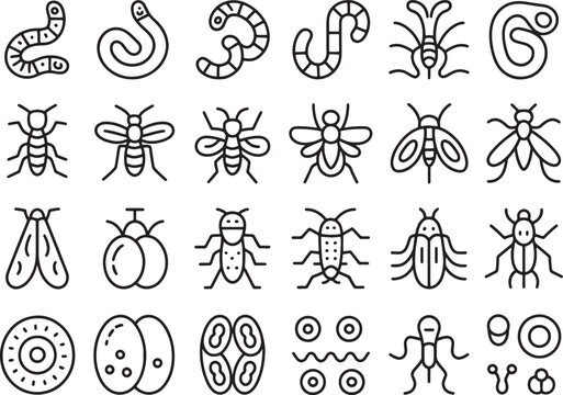 Collection of various insects and larvae illustrated in simple line art style