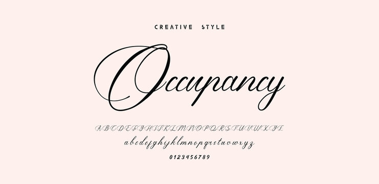 Hand drawn vector alphabet. Modern monoline signature script font. Elegant Signature Font. Best Alphabet Beautiful Calligraphy Signature Font