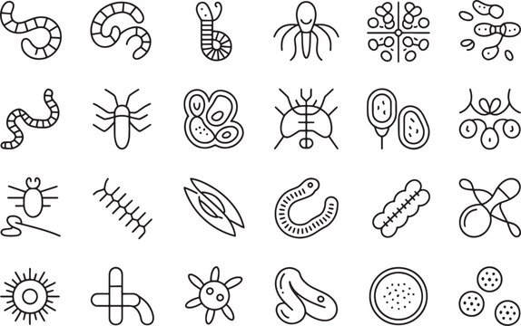 Collection of various microscopic organisms and parasites illustrated in simple line art style