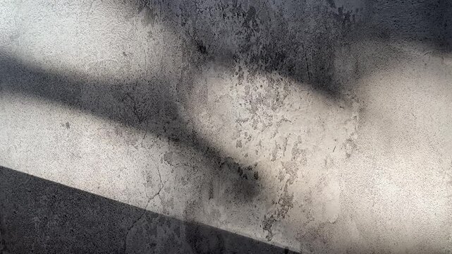 Top view of cement floor with leaf shadow. leaves. shadows. black, dark. grey, gray. high angle, above, flat lay. copy space, empty, free, negative, text, design. reflected, reflection. Texture