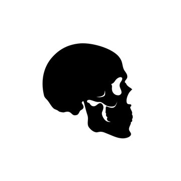 Minimalist black skull silhouette vector icon. Human cranium profile side view. Gothic anatomical head symbol for tattoo design and apparel graphics.