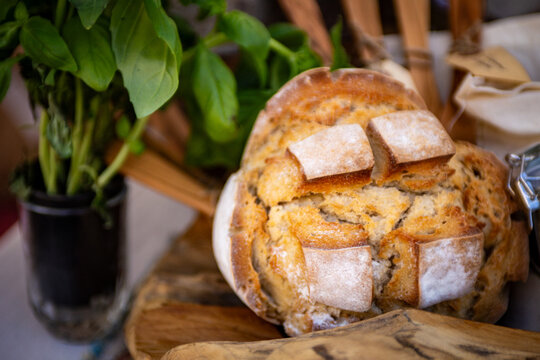 Artisanal rustic sourdough bread loaf displayed with fresh green basil plant