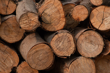 Fototapeta premium Close-Up of Stacked Cut Firewood Logs