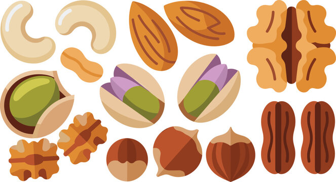 Healthy Organic Nuts Vector Icon Set Featuring Almonds Cashews Pistachios Walnuts Hazelnuts and Pecans for Snack Food and Nutrition Designs