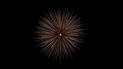 Obraz premium Gold burst firework radiating long glowing trails in minimalist night sky