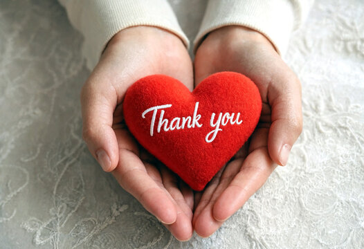 Gratitude and appreciation concept with hands holding a red heart saying thank you warmly