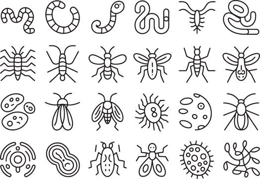Collection of various illustrated microscopic organisms and insects isolated on transparent background
