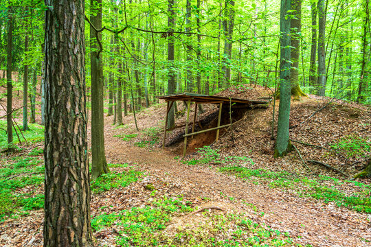 Woodland path and wooden shelter at Mariahilfberg Amberg Germany