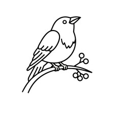 Fototapeta premium Line art of a bird on a branch with berries