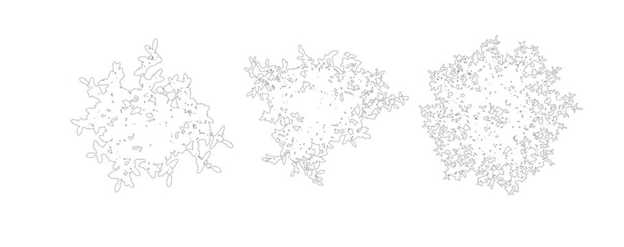 Minimalist tree top view vector set, architectural landscape plan symbols, black and white overhead garden plant icons for site mapping
