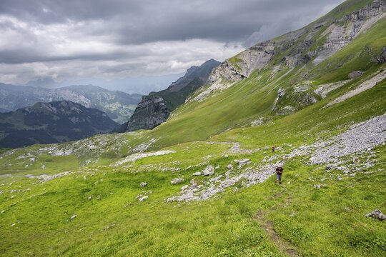 Hikers in Gr&uuml;ner Berglandschft, Kienboden, Bernese Alps, Bernese Oberland, Switzerland