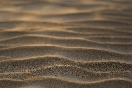 Wind drifts form small waves in sand, abstract pattern, Sorteb&aelig;rdalen Strand, Houvig, North Sea, Denmark