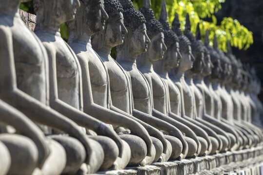 Row of Buddha statues (Bhumispara-mudra, Buddha Gautama at the moment of enlightenment), Great Chedi Chaya Mongkol, Wat Yai Chai Mongkon, Ayutthaya, Thailand