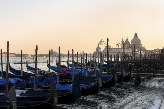 Venetian gondolas, boat dock at St. Mark's Square, in the back Basilica Santa Maria della Salute in the evening light, Venice, Veneto, Italy