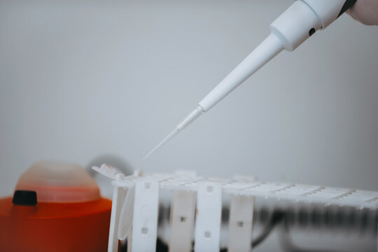 Laboratory Pipette Dispensing Liquid Into Microtube Rack for Clinical Research and Testing