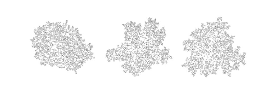 Minimalist architectural tree symbols, set of 3 top view landscape plan icons, black and white line art vegetation for site mapping and garden design