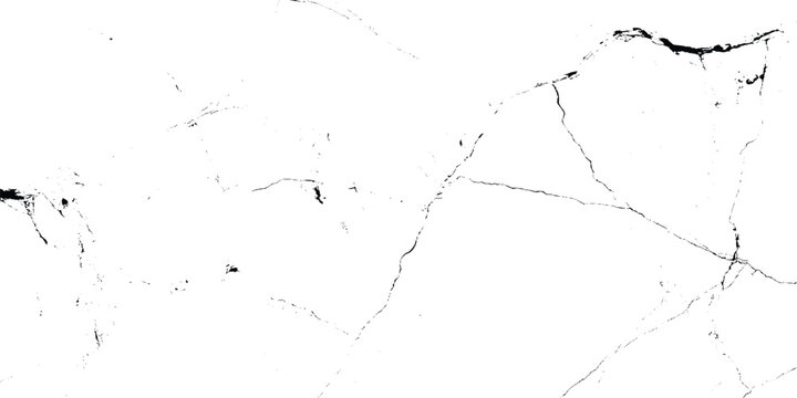 A high contrast black and white grunge marble texture featuring distinct organic branching veins and fine crack lines across a clean background.