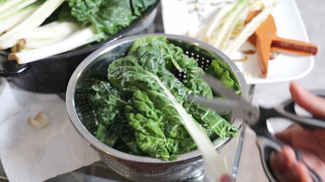 Black person cutting fresh green chard leaves with kitchen shears