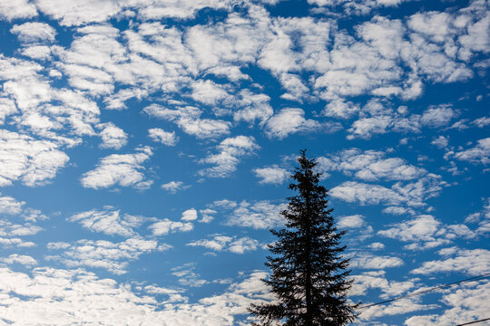 sumer clouds in the sky