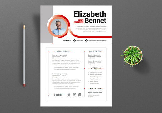 Modern Professional Resume CV Template