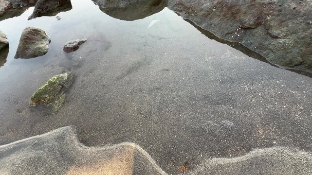 Clear Tide Pool Among Coastal Rocks with Sandy Bottom