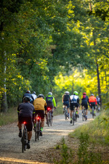 Fototapeta premium Rear view of a large group of cyclists riding gravel and mountain bikes on a dirt path through a sunny forest. Action shot of a cycling event in nature.
