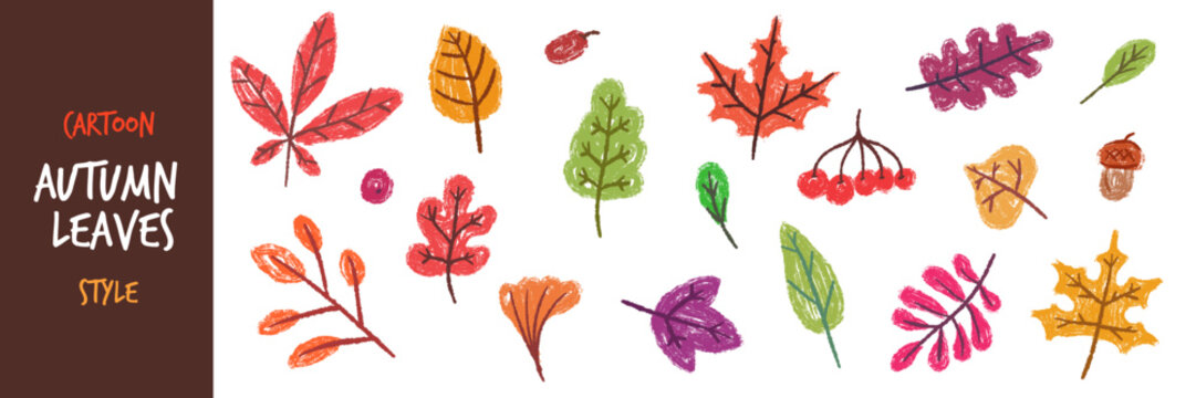 Hand drawn autumn leaves and berries vector set in crayon textured pencil sketch style for fall design and seasonal decoration. Children illustration for book or game.