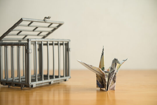 US dollar bill banknote flapping bird get out of the cage. Financial freedom through passive income, success wealth from investment, interest rate from bank account and so on concept