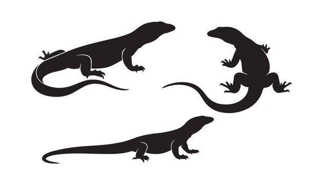 black and white silhouette set of lizard very high quality vector illustration.