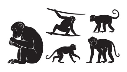 black and white silhouette set of monkey very high quality vector illustration. © dinesh