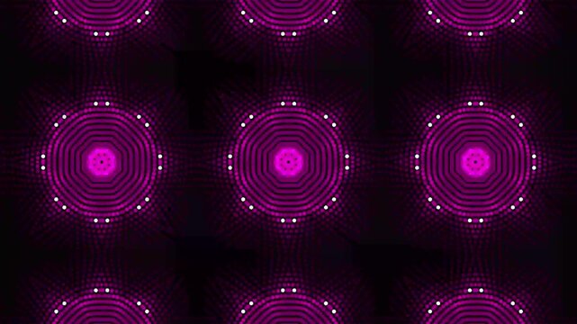 Microscopic time-lapse of bacterial growth division in vibrant magenta fluorescence petri dish science experiment