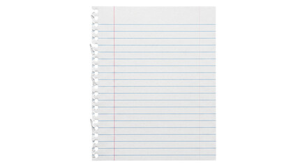 Obraz premium Torn lined notebook paper with punched holes and red margin line