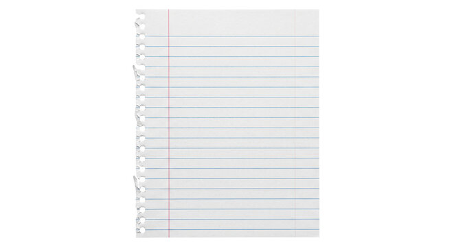 Torn lined notebook paper with punched holes and red margin line