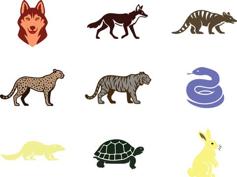 Colorful Wild Animal Vectors with Wolf, Tiger, Cheetah, and Snake
