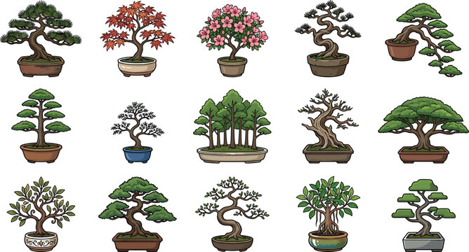 Vector illustration set of traditional Japanese bonsai trees in ceramic pots featuring maple, pine, and blooming azalea styles isolated on white background.