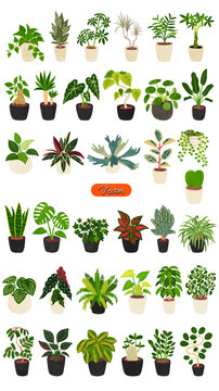 観葉植物36種類のセット　水彩風手描きベクターイラスト