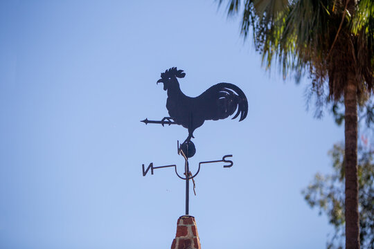 Rooster weather vane silhouette with copy space.