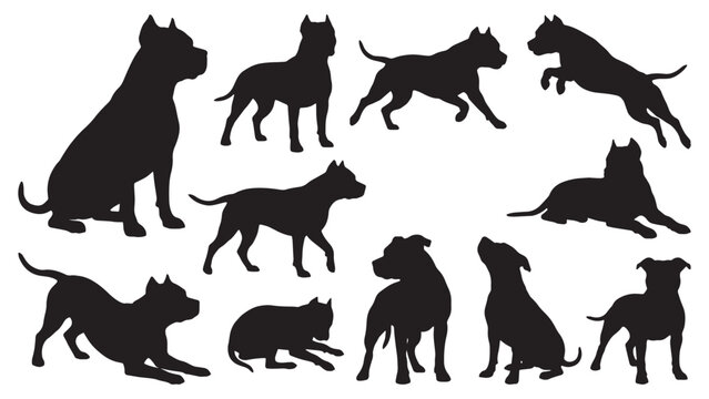 American Pit Bull Terrier Dog Silhouette Bundle | 10 Black Vector Dog Poses Collection