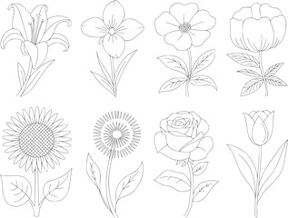Colección de varias flores dibujadas a mano con diferentes especies en un estilo de línea simple © Abdullah_43