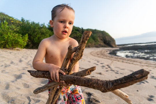 Little boy gathering driftwood on a sandy beach