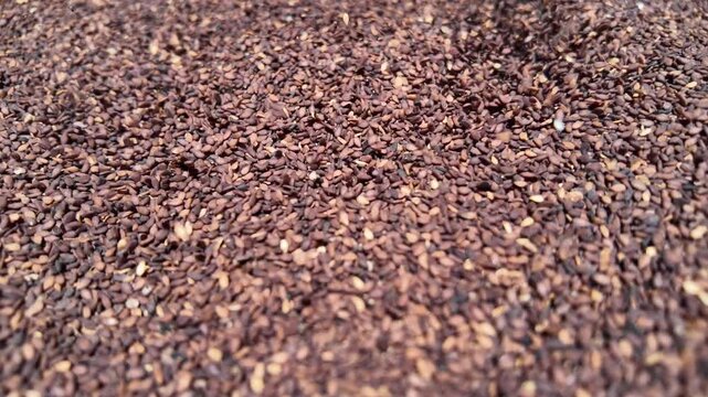 Black sesame seeds pouring from top , super close up view in slow motion , sesame seeds 