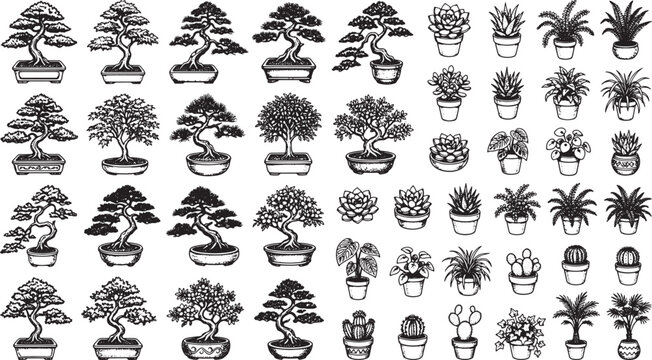 Collection of hand drawn bonsai trees and potted houseplants in black and white vector illustration set