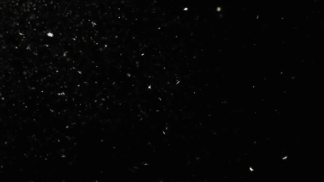 Floating dust particles stock video. White motes and atmospheric debris drifting slowly in a dark space. Cinematic overlay for video editing and visual compositing.