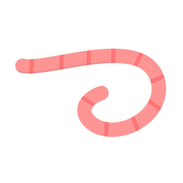 Cute cartoon earthworm vector illustration isolated on white background