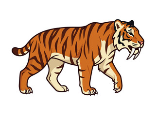 Obraz premium Illustration of a fierce saber-toothed cat walking isolated on white background.