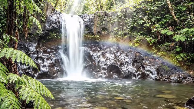 Scenic waterfall flowing into a clear natural pool surrounded by lush tropical rainforest ferns and rocky cliff with subtle rainbow mist