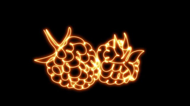 Luminous Tropical Fruit Icon and Glowing Neon Custard Apple Outline 4k Animation on Black Background.  Fresh Organic Produce Symbol, Natural Nutrition and Vibrant Culinary Graphic animation